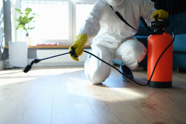 Reliable Sewage Cleanup contractor in Silver Lake, FL by Trauma Clean Pros